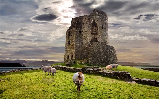 网名带软带喘的名字女