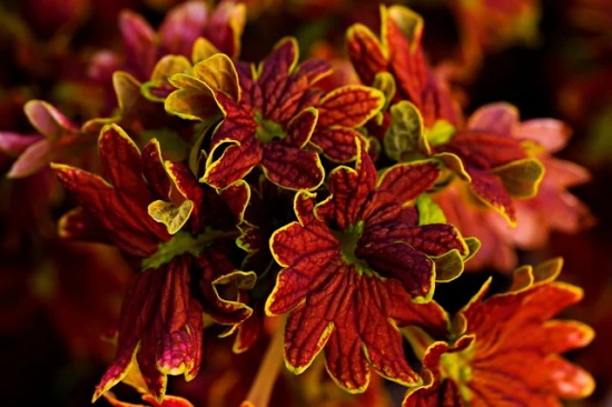 带爱字的网名带符号