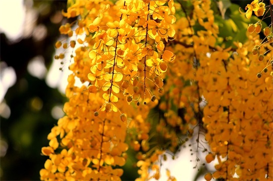 带知足两字的网名