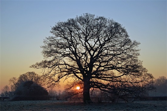 带肉肉的女生网名