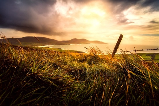 关于读书的好处名句 赞美读书好的句子有哪些