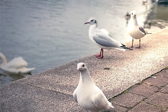 和失恋有关的爱情句子 和失恋有关的爱情句子