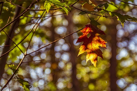 班级团结的优美句子 形容班级团结的句子