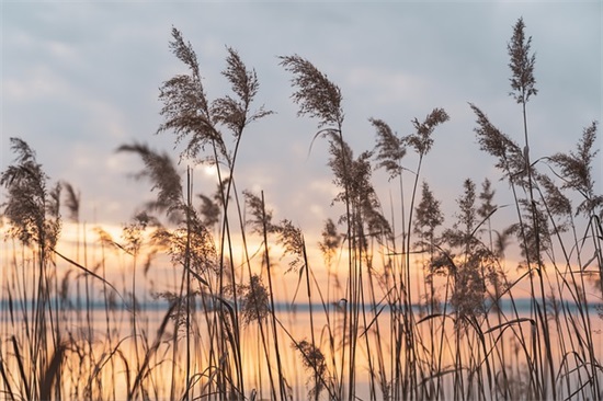 我心目中最美的老师