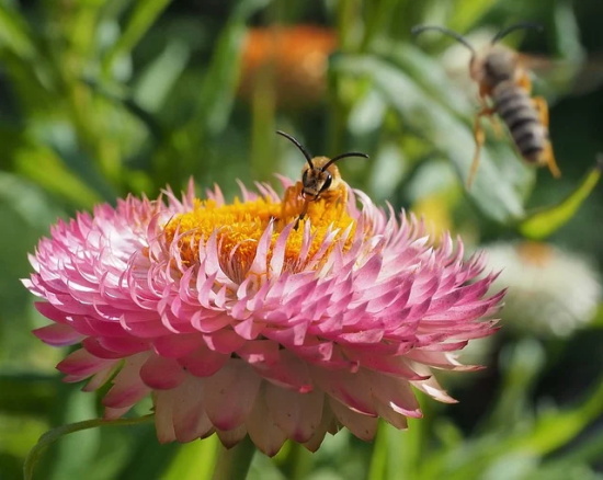 女生节标语口号