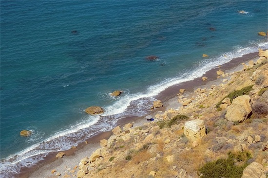 猪油的功效与作用