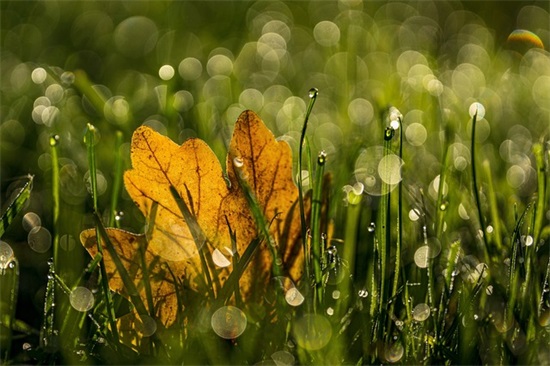 毕业幼儿园老师对学生的寄语-44句