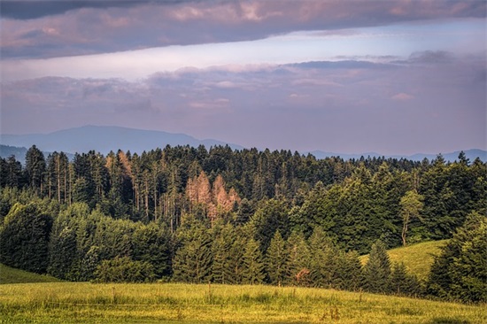 对宝贝的寄语-64句