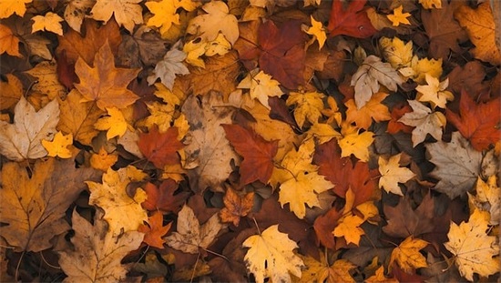 鼓励高考的寄语-72句