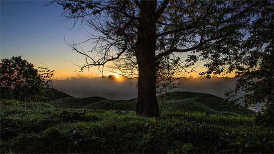 带木水土的网名女孩