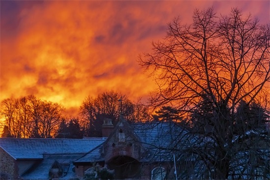 带木字的网名汉语