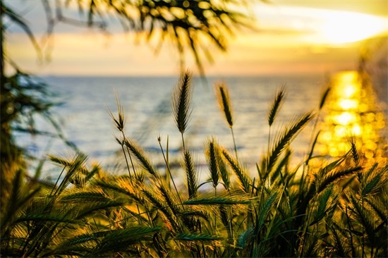 带木的好听的网名大全