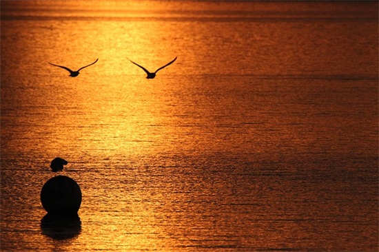 安慰工作累的句子21条