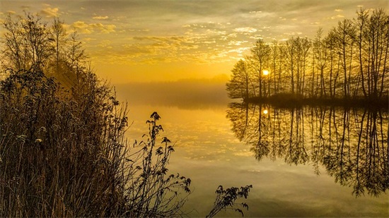 幽默风趣的句子200句