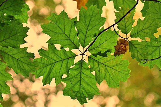 哲理励志句子唯美简短83句