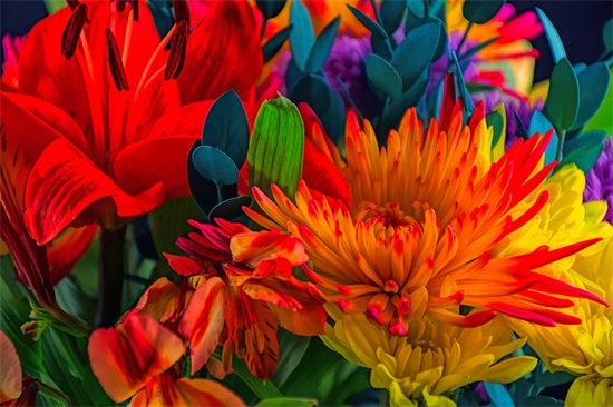 简短祝福语妈妈60句