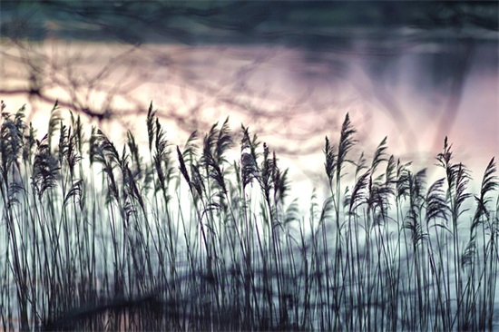 老师对小学生祝福语50句