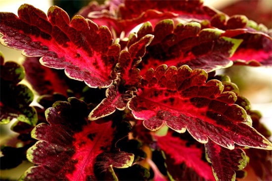 形容心情难受的句子