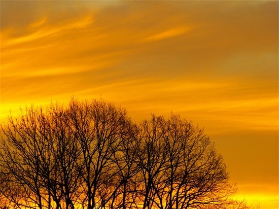 同学聚会经典句子汇总 老同学聚会短句(精选58句)