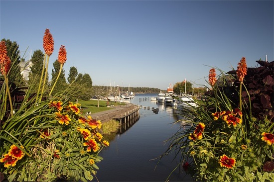 弟弟36岁的生日祝福