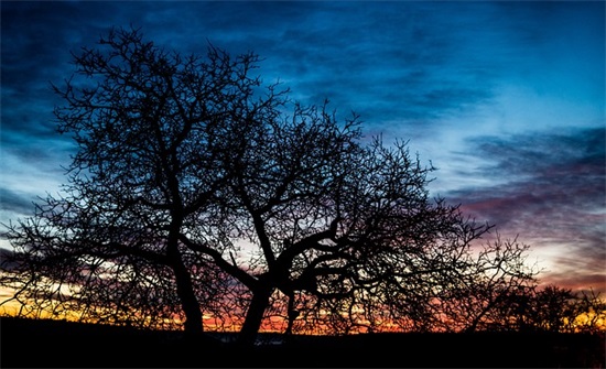 2026年国庆节72周年年度最火的祝福语