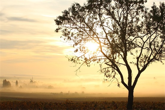 好听的公司名三个字取名339个，三个字简洁的公司名称最新版