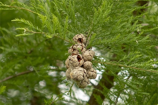 寓意好的公司名称三个字323个，好听的三个字内涵公司名称