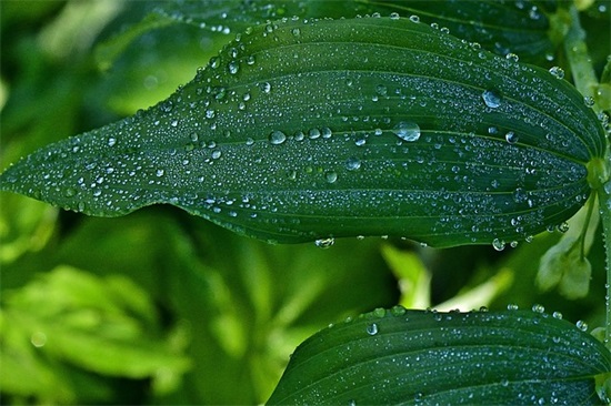 励志篮球网名大全唯美