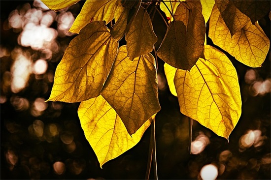 金榜题名红包祝福语57句