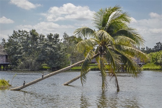 新年学校祝福语 2026元旦学校新年唯美祝福语学