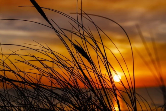 处暑寄语祝福句子