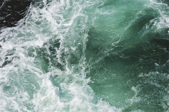 有关花的优美句子摘录