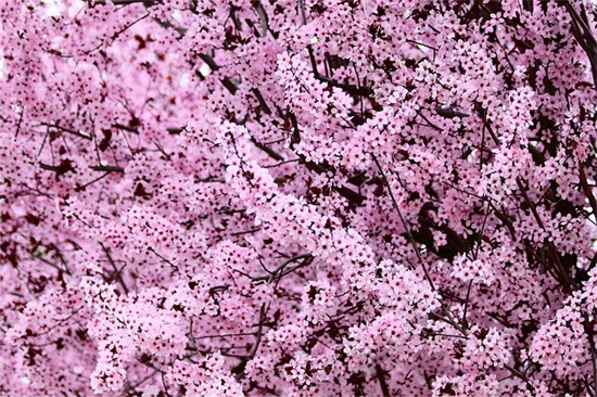 给自己女儿生日祝福语