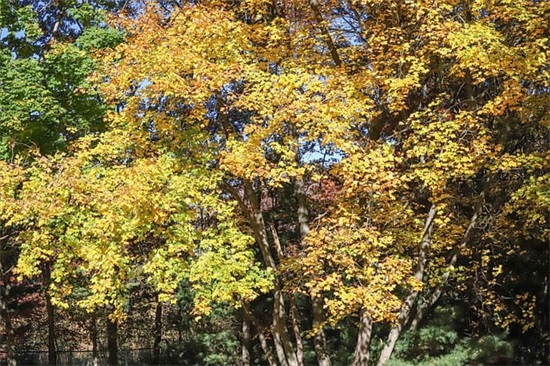 关于儿童节快乐祝福话语