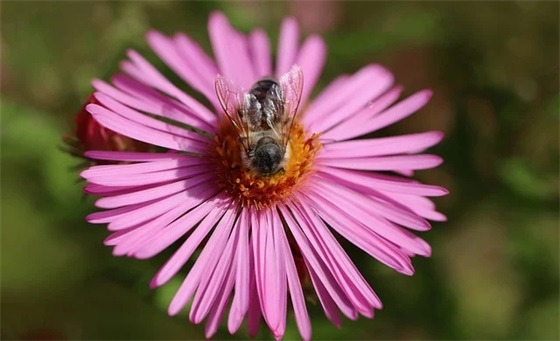 祝朋友出国祝福语 朋友出国定居祝福语