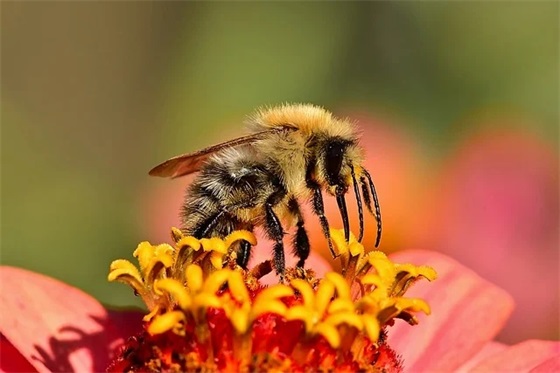 万圣节的海报创意祝福语