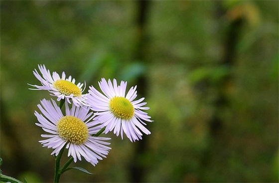 怎样写六一儿童节祝福语