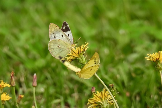 祝学生考试祝福语49句