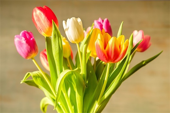 男友的生日祝福语41句