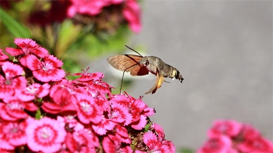 过完年开门大吉的祝福语 开年祝福话语简洁的