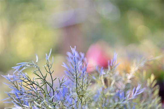 闺蜜新婚祝福语创意41句