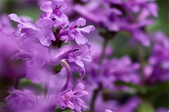 祝福朋友新婚的祝福语38句