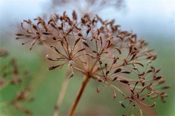 创意新年的祝福文案 创意祝福文案