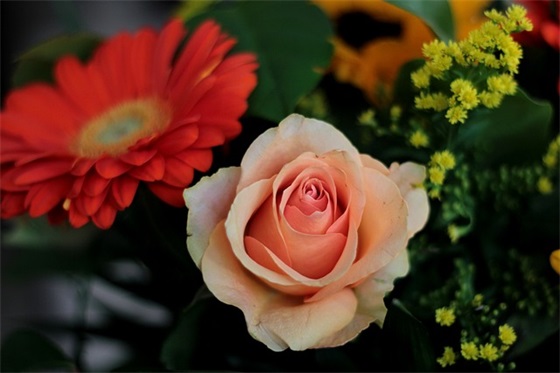 精选的送给远方朋友的祝福大全(送给远方朋友的祝福和寄语)