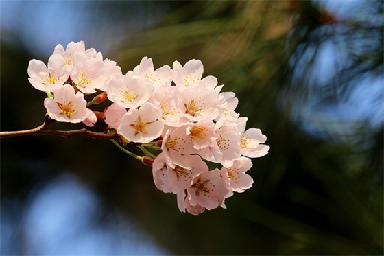祝福自己生日的文案