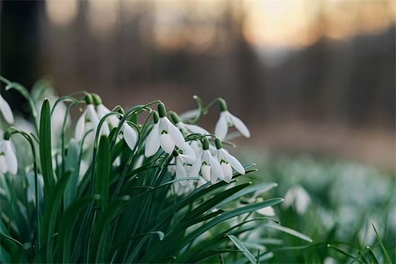 祝福祖国简短的话