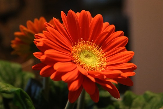 第一波祝福短信 2026愚人节恶搞整人短信