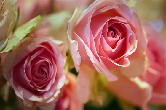 自己生日发空间的祝福文案