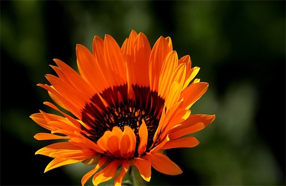 2026年中秋节简短唯美的祝福文案