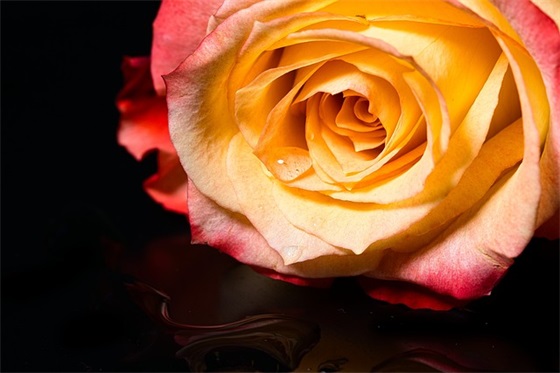 婚礼有趣祝福语 参加婚礼祝福语